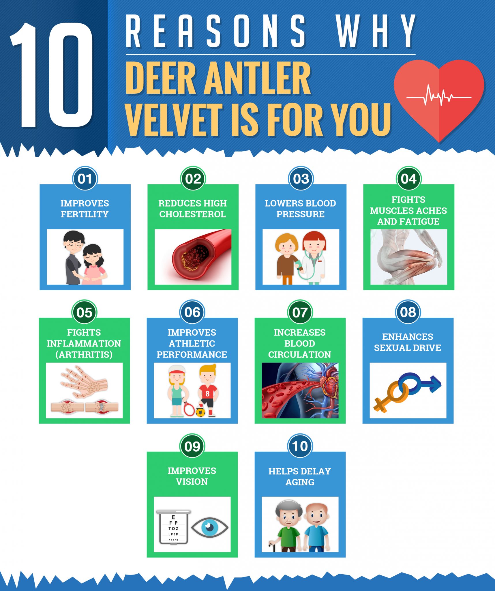 10 Reasons Why Deer Antler Velvet Is For You 