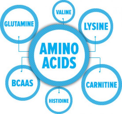 Best Amino Acids for Weight Loss | Popular Diet Pills